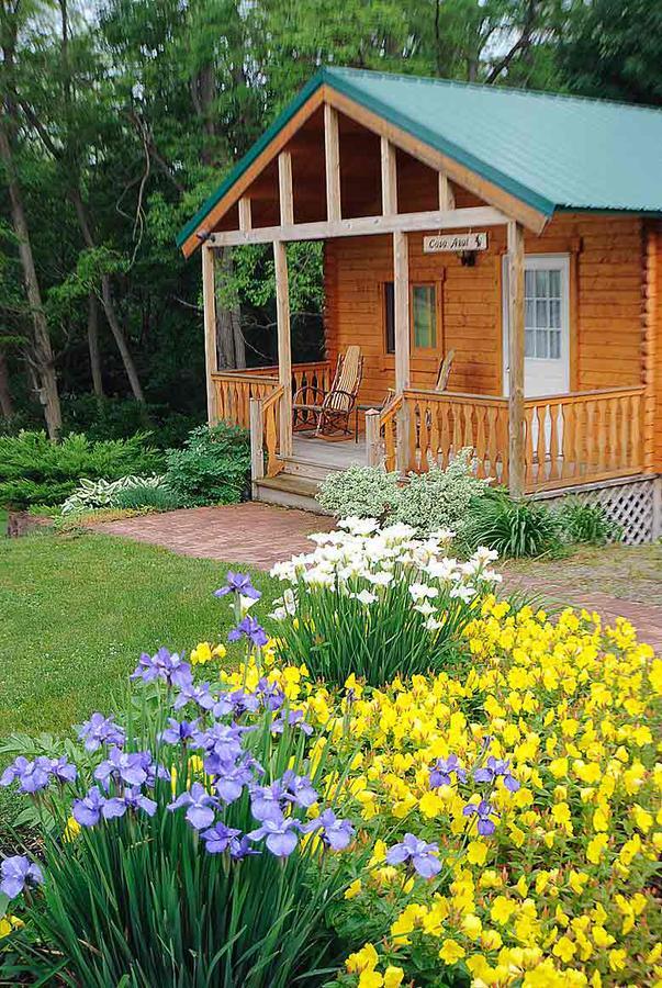 Los Gatos Bed & Breakfast Penn Yan Exterior foto